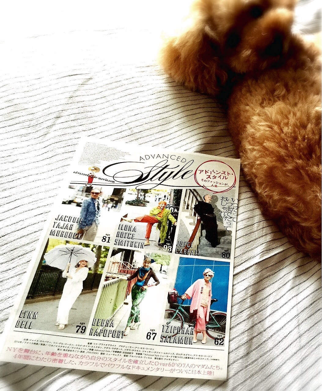 �wADVANCED STYLE �x