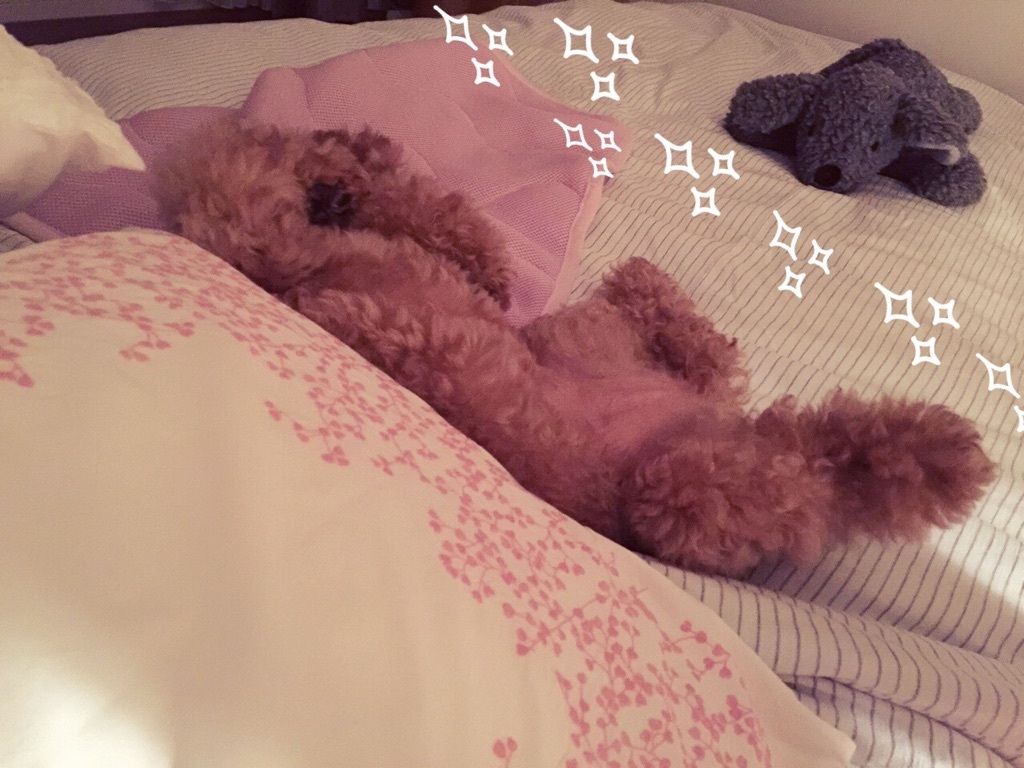 ���[�̖�