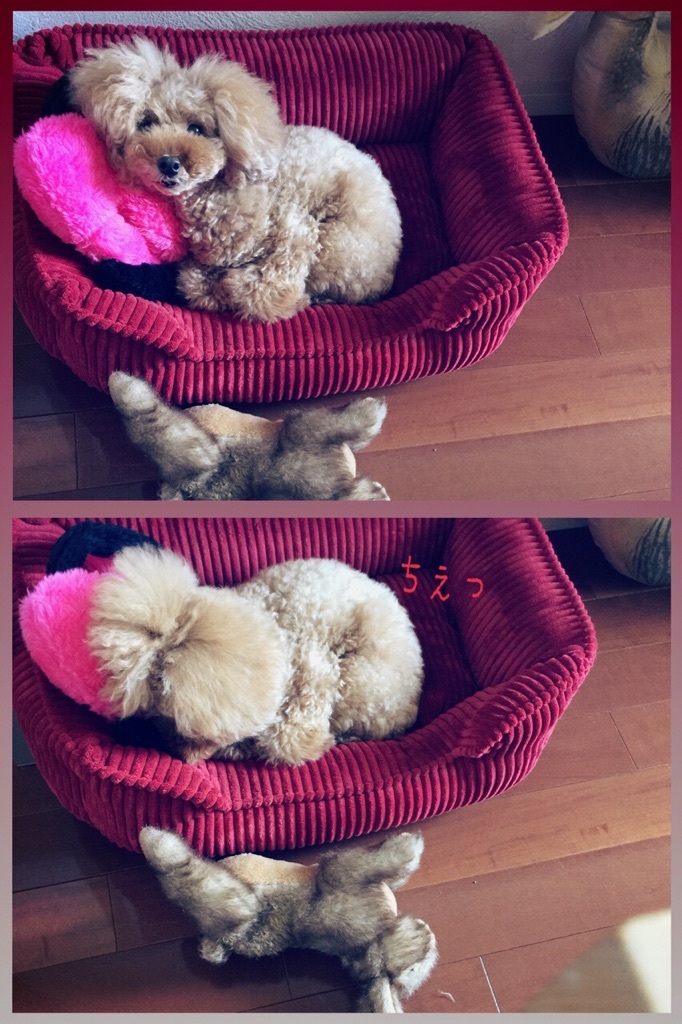 ���e����