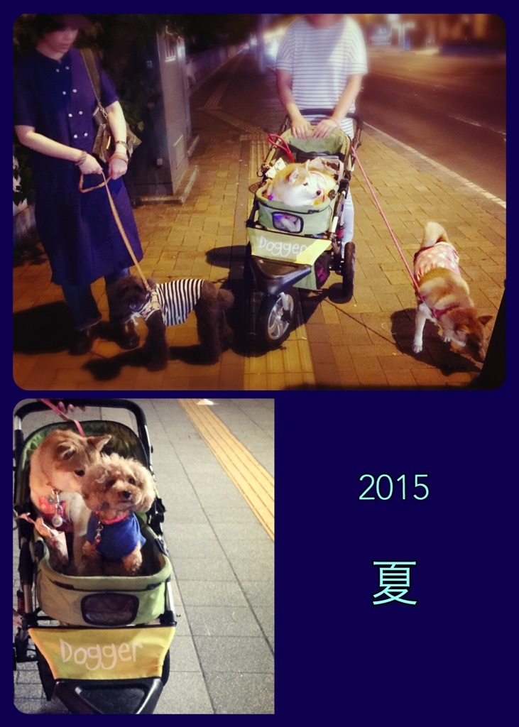 �镗�ɐ�����Ȃ���