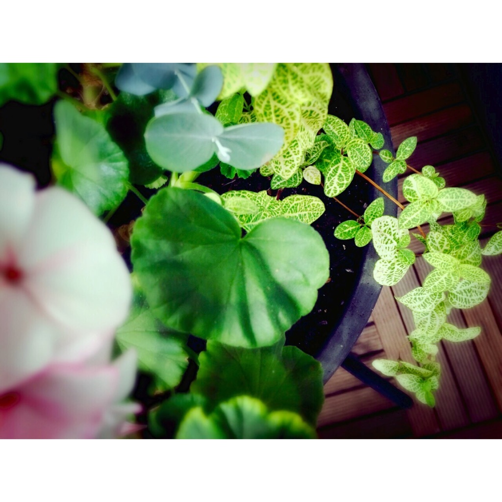 �t��