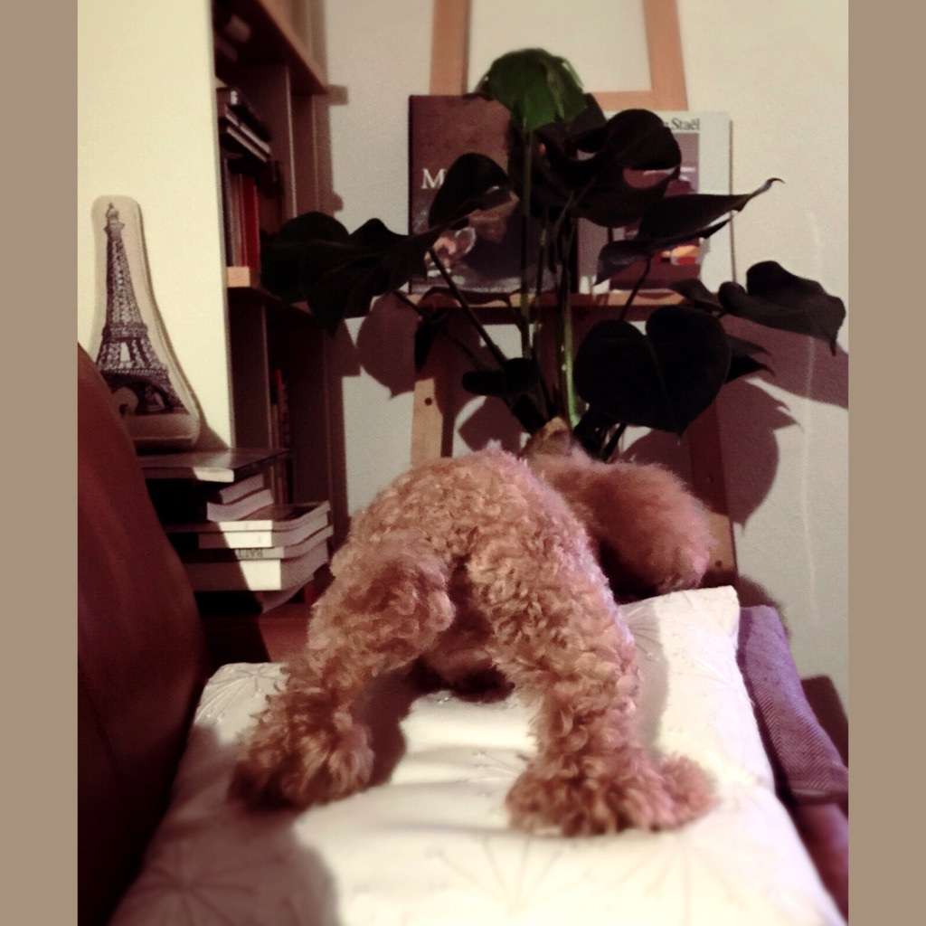 �T����