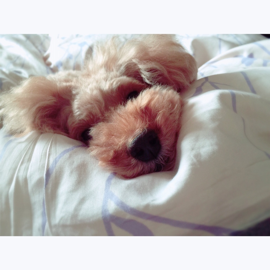 ���͂悤�������܂�