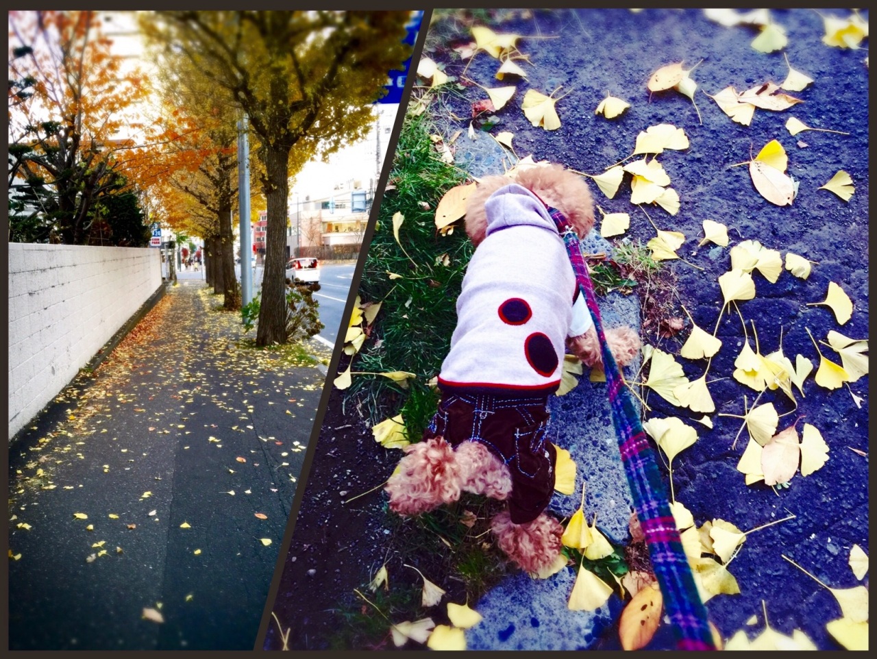 ���