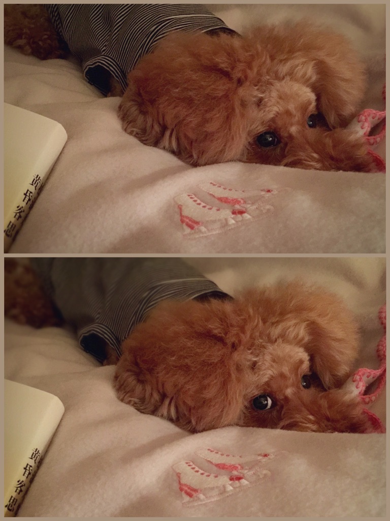 go to bed