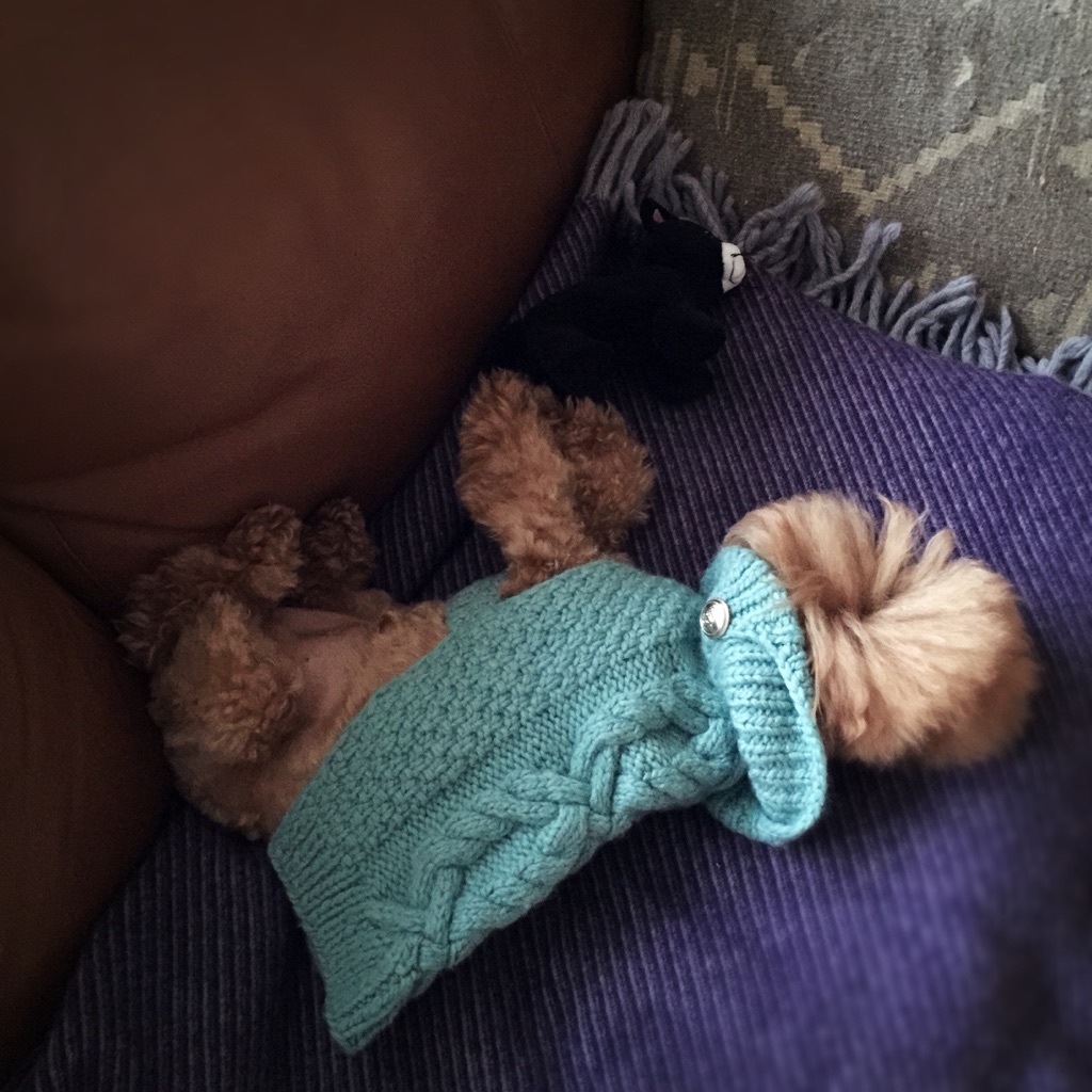 �ȃG�l�A���[