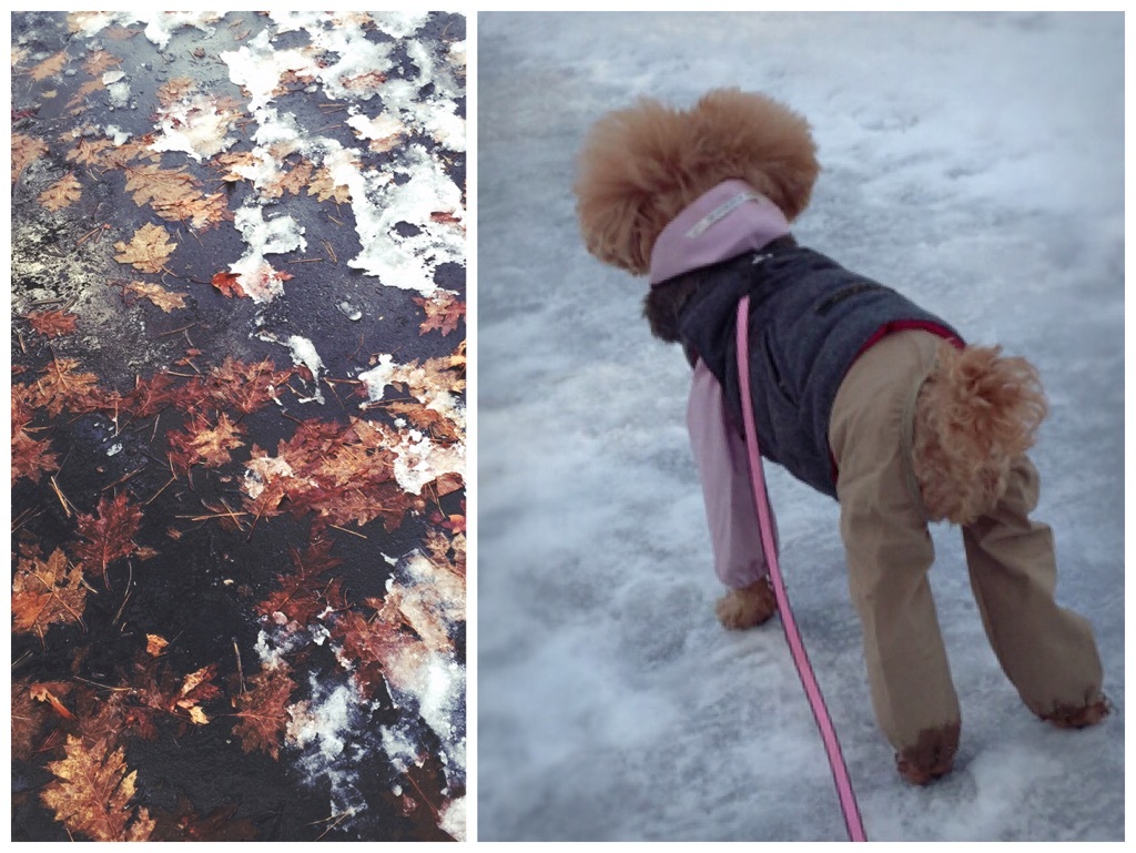 �����̂��U����