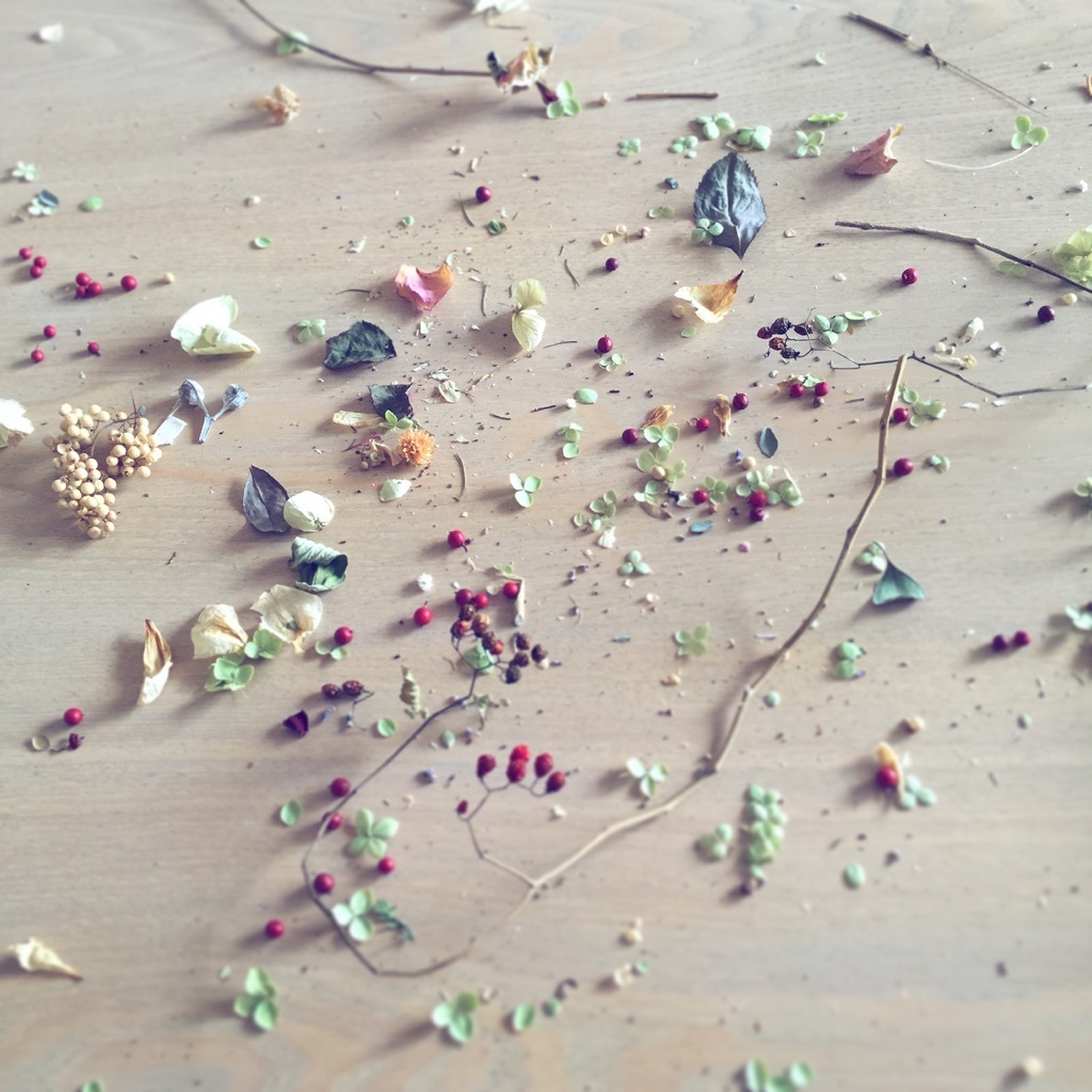 �h���C�t�����[