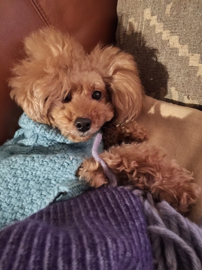 �ȂɐH�ׂĂ�́H