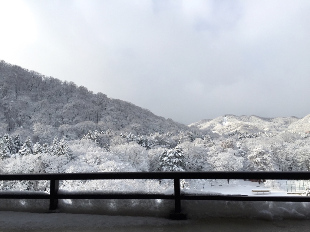 �����̎D�y