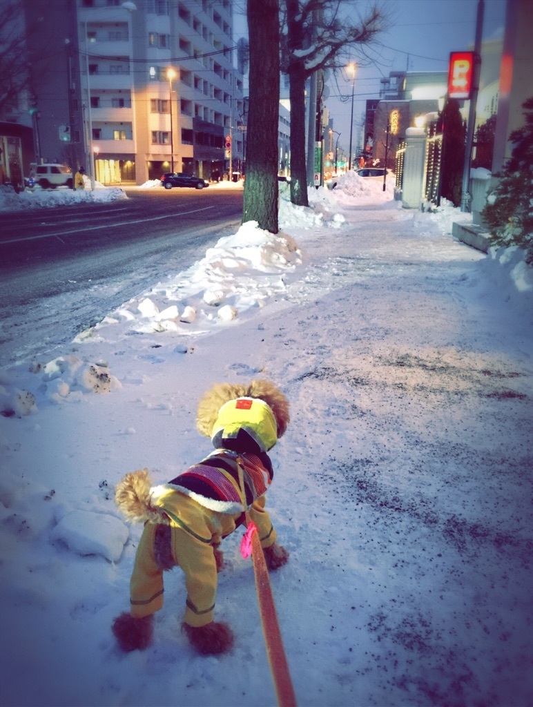 ���U�����c