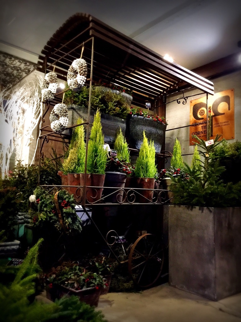 ���ԉ�����