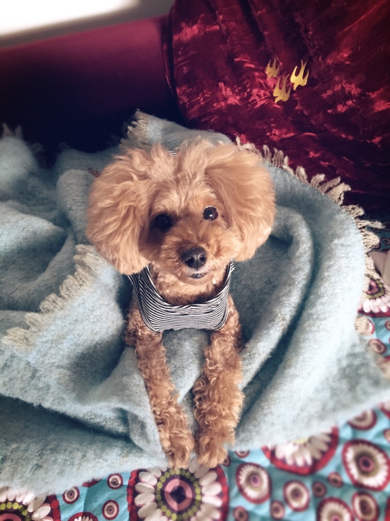 ���N��vio�����