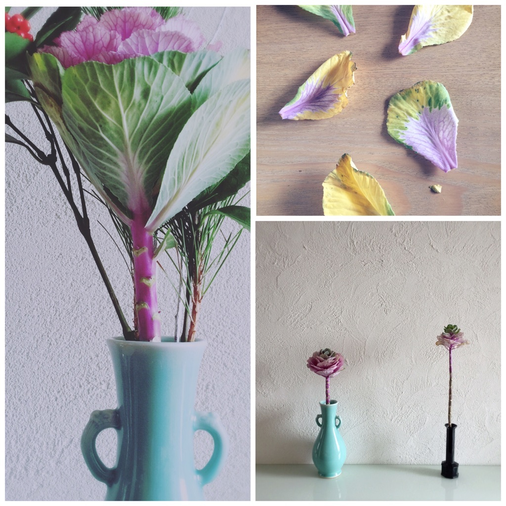 �������̗t���O��