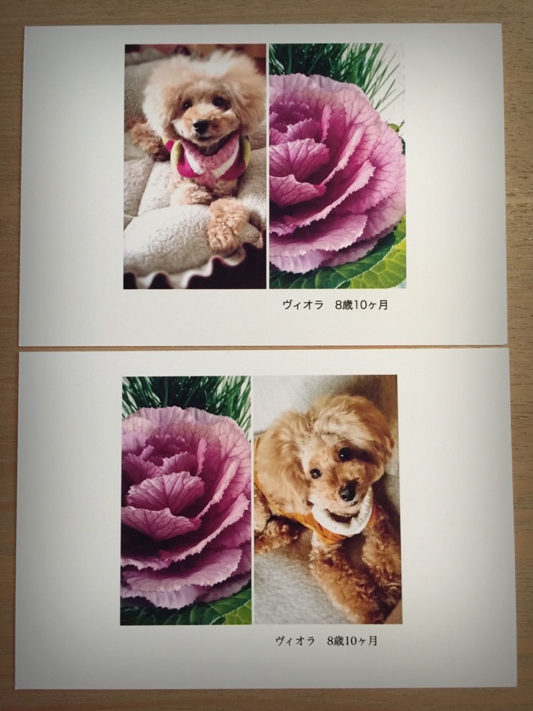 ���N�̔N���