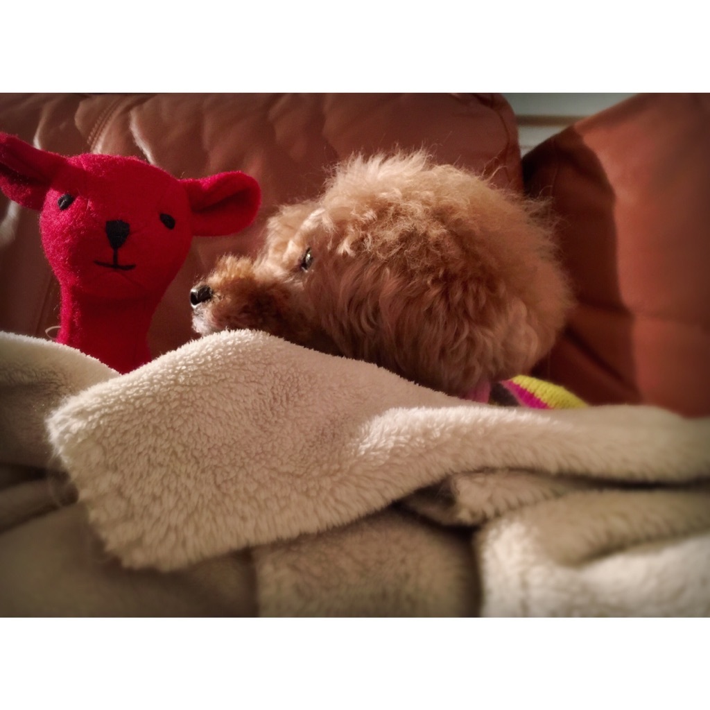 �������낲��