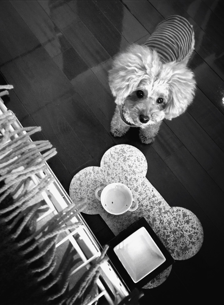 ���H���H�I*\(^o^)/*