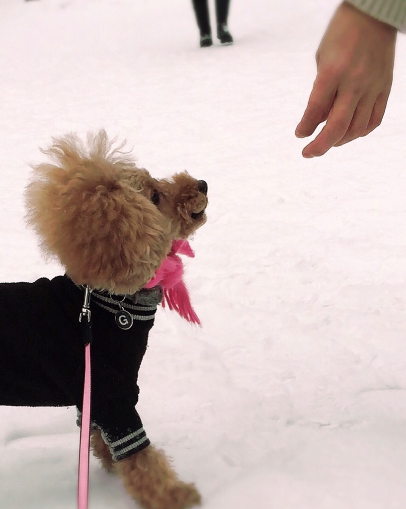 �͂��A�ǂ�����