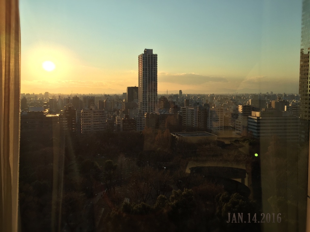 ����̓���