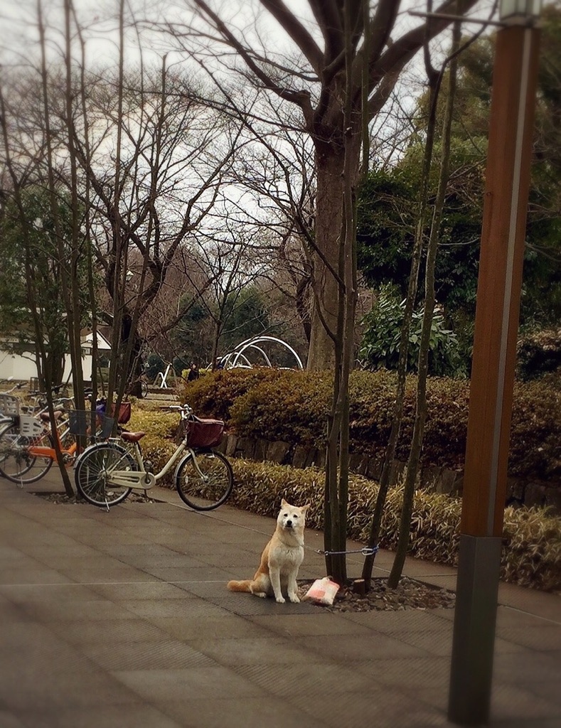 ���p�ق̑O��