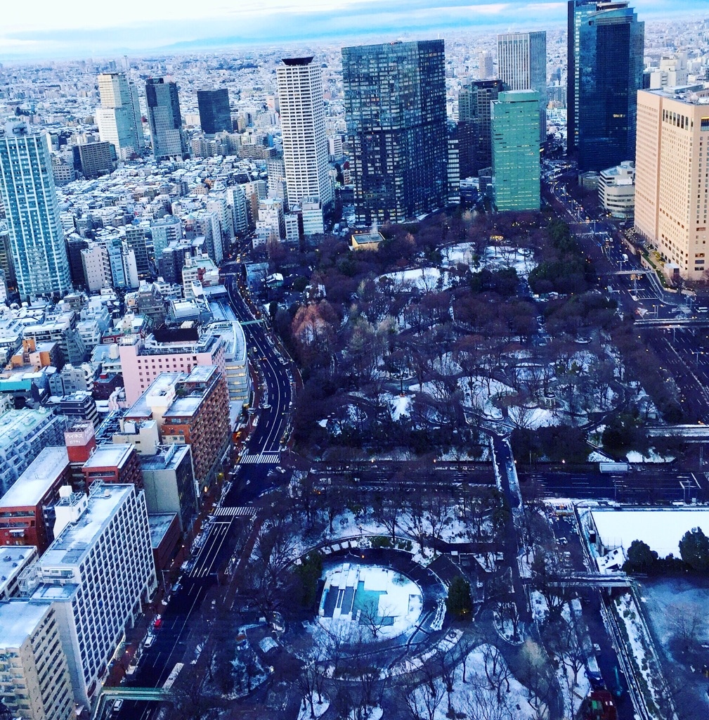 �ߌ�S����