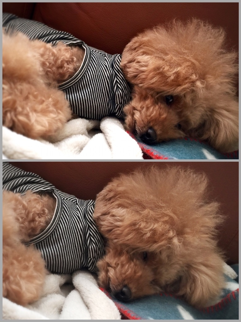 ���ǂ�����