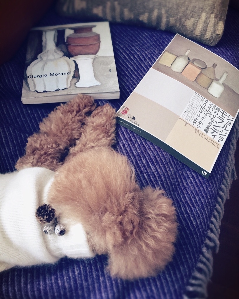 �������f�B�W