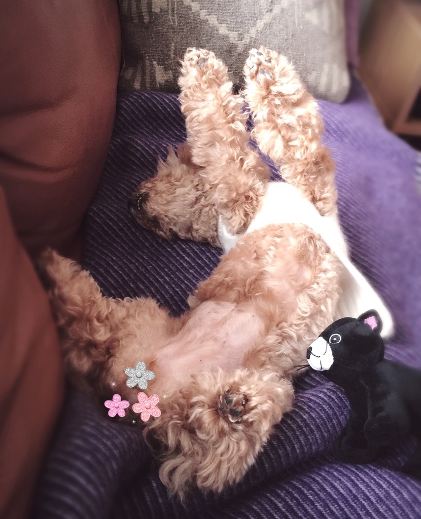 ���a�����