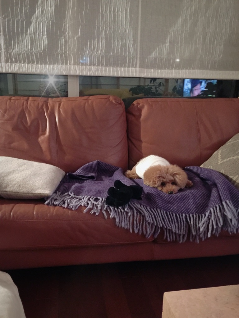 �U������ƁA