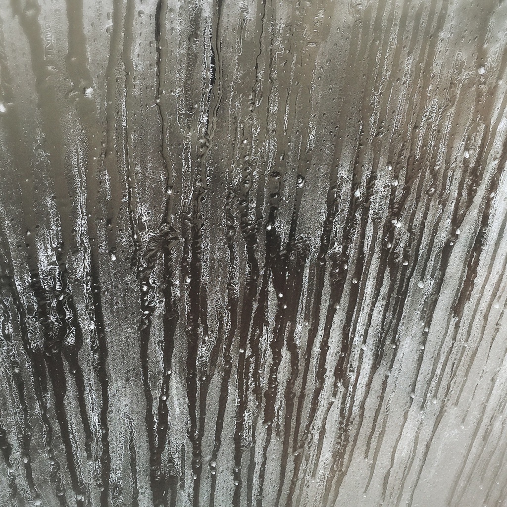 �S���I�ɑ��