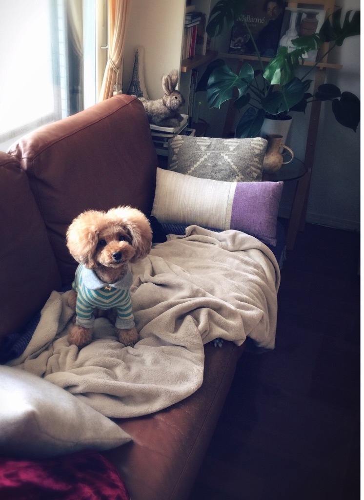 ������Ƒ҂��ĂĂ�