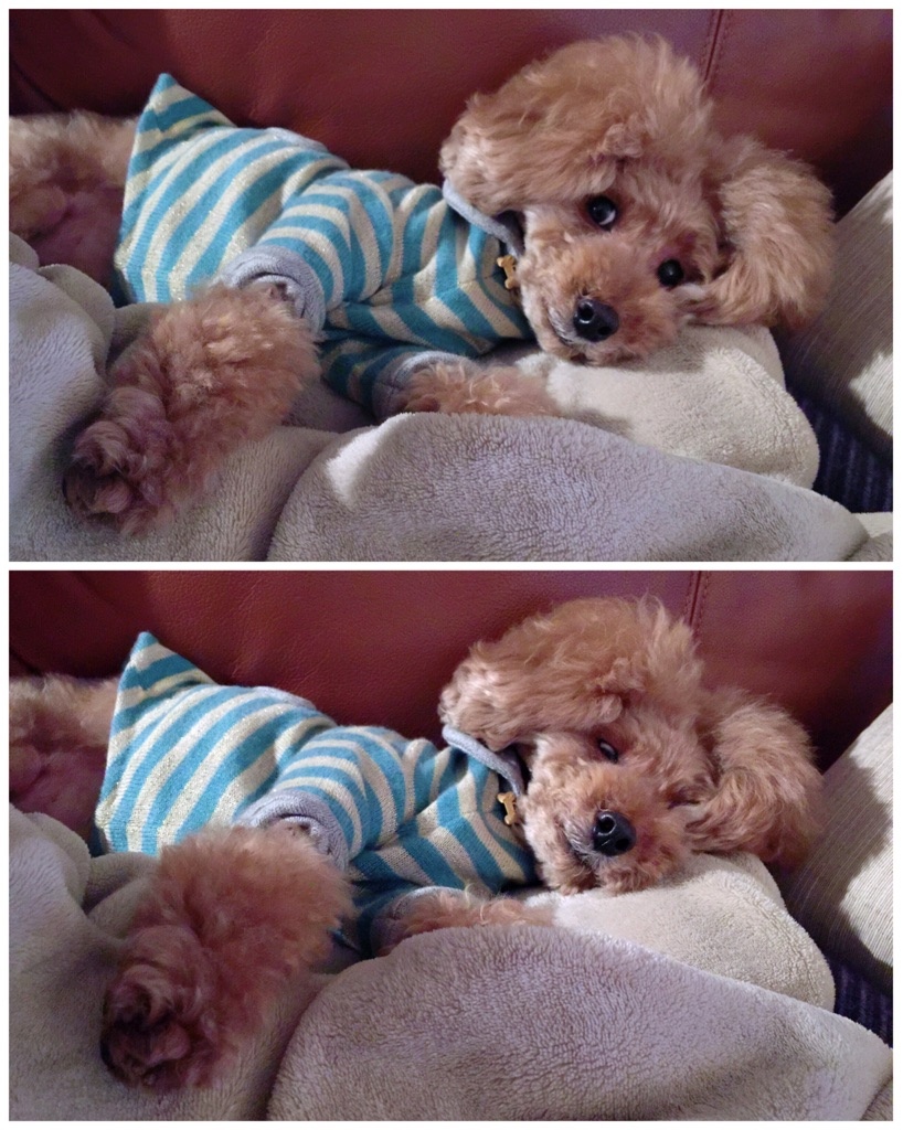 �b�𕷂���