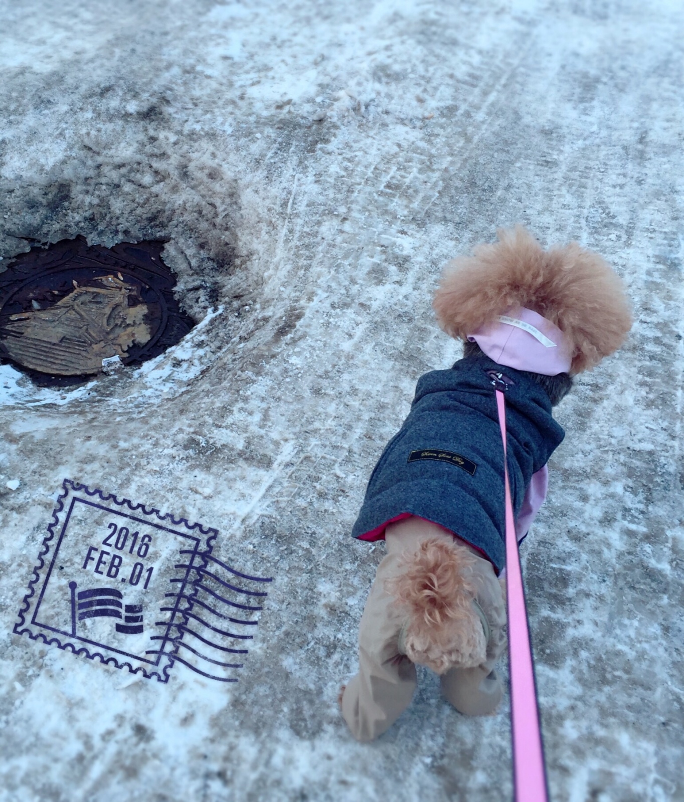 ��@���ɂȂ�܂���