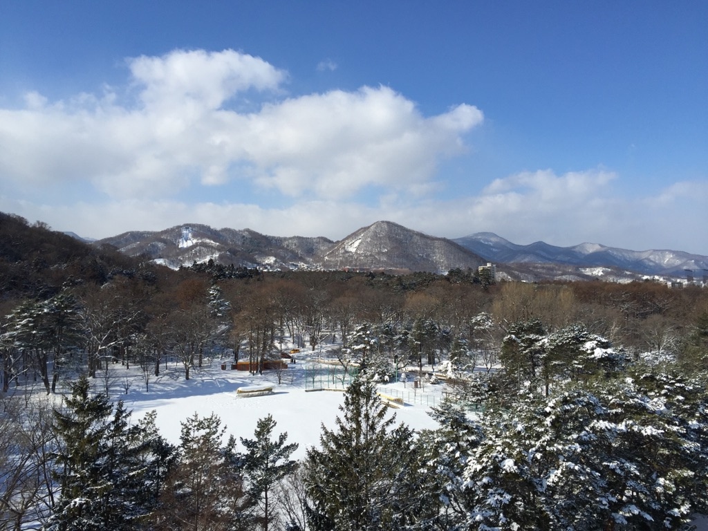 �t�̑����B�B�B