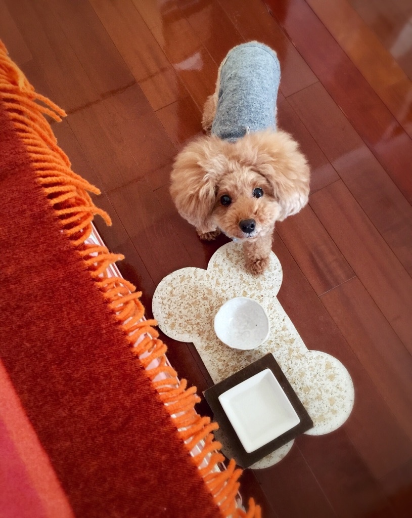 �����͂�