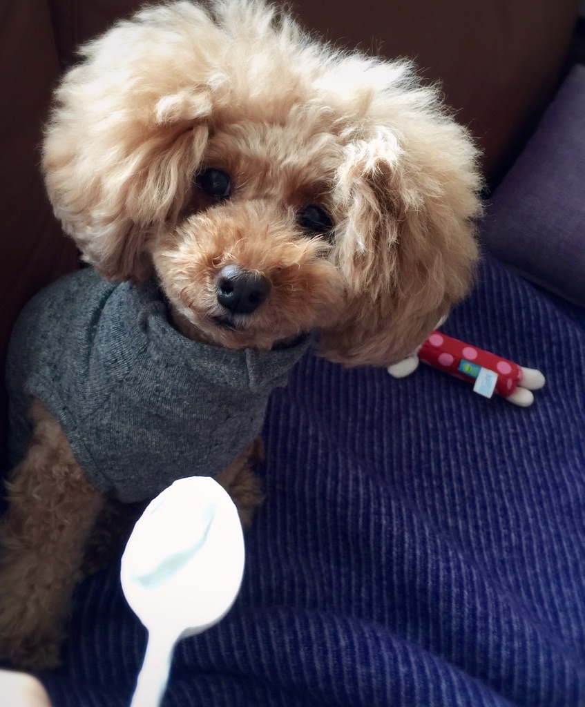 �����͂�̂��Ƃ́A